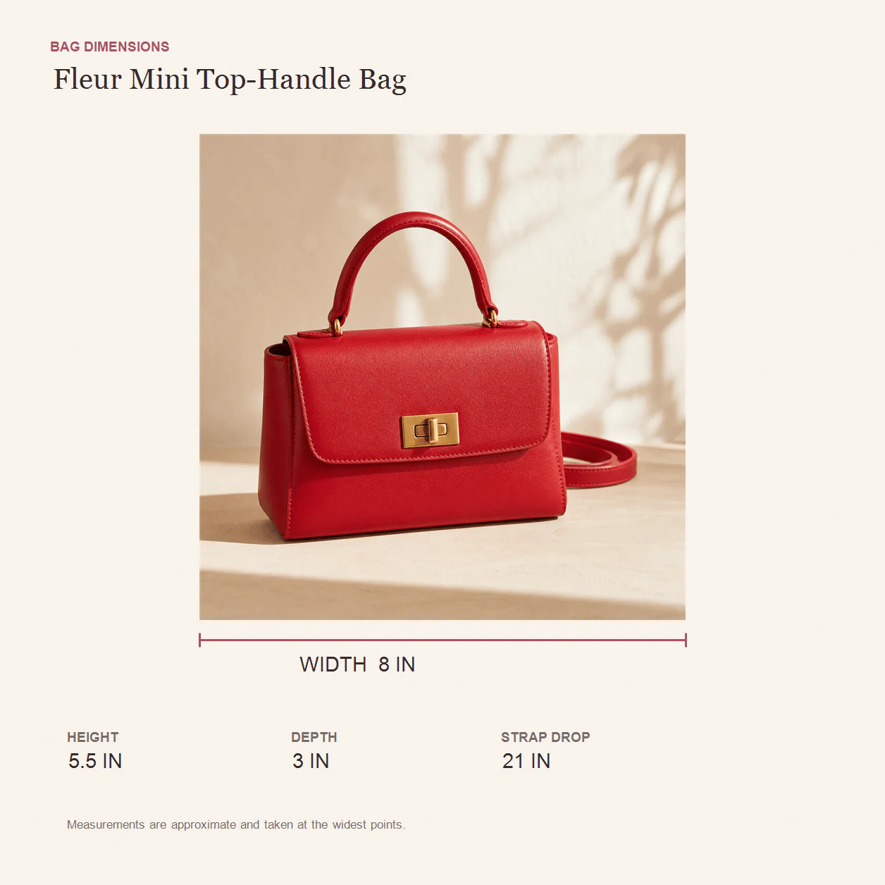 Fleur Mini Top-Handle Bag size guide